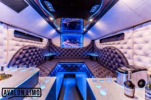 Rent a Party Bus Limo Service in Bryn Mawr, PA 19010 - Avalon Limousine